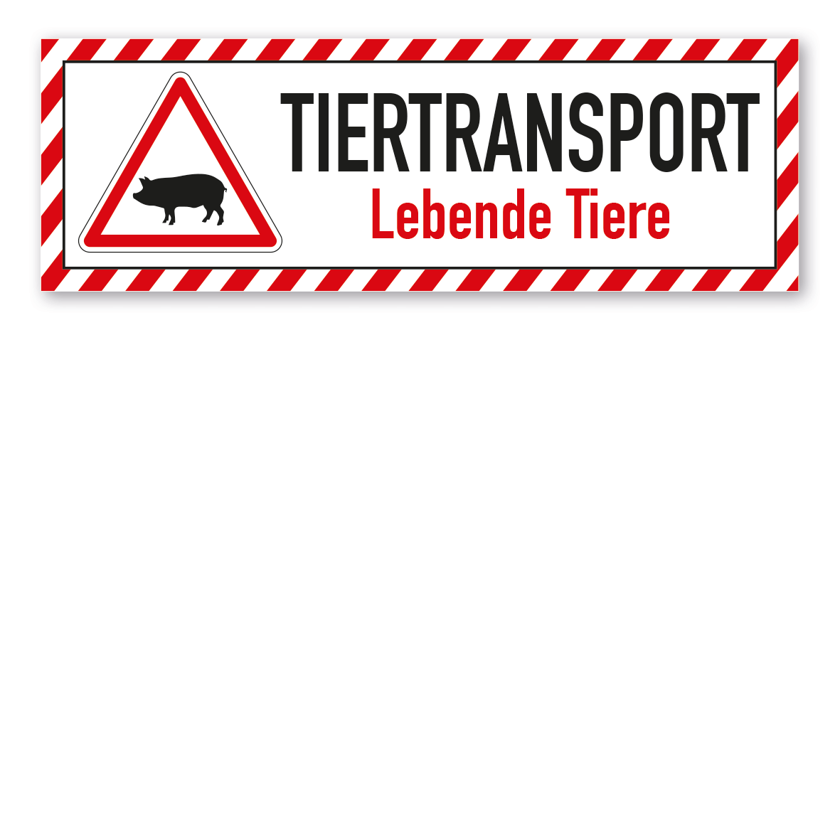 Schild für Tiertransporte -  Tiertransport - Lebende Tiere - Schweine - mit roter Warnstreifenumrandung und Warnsymbol