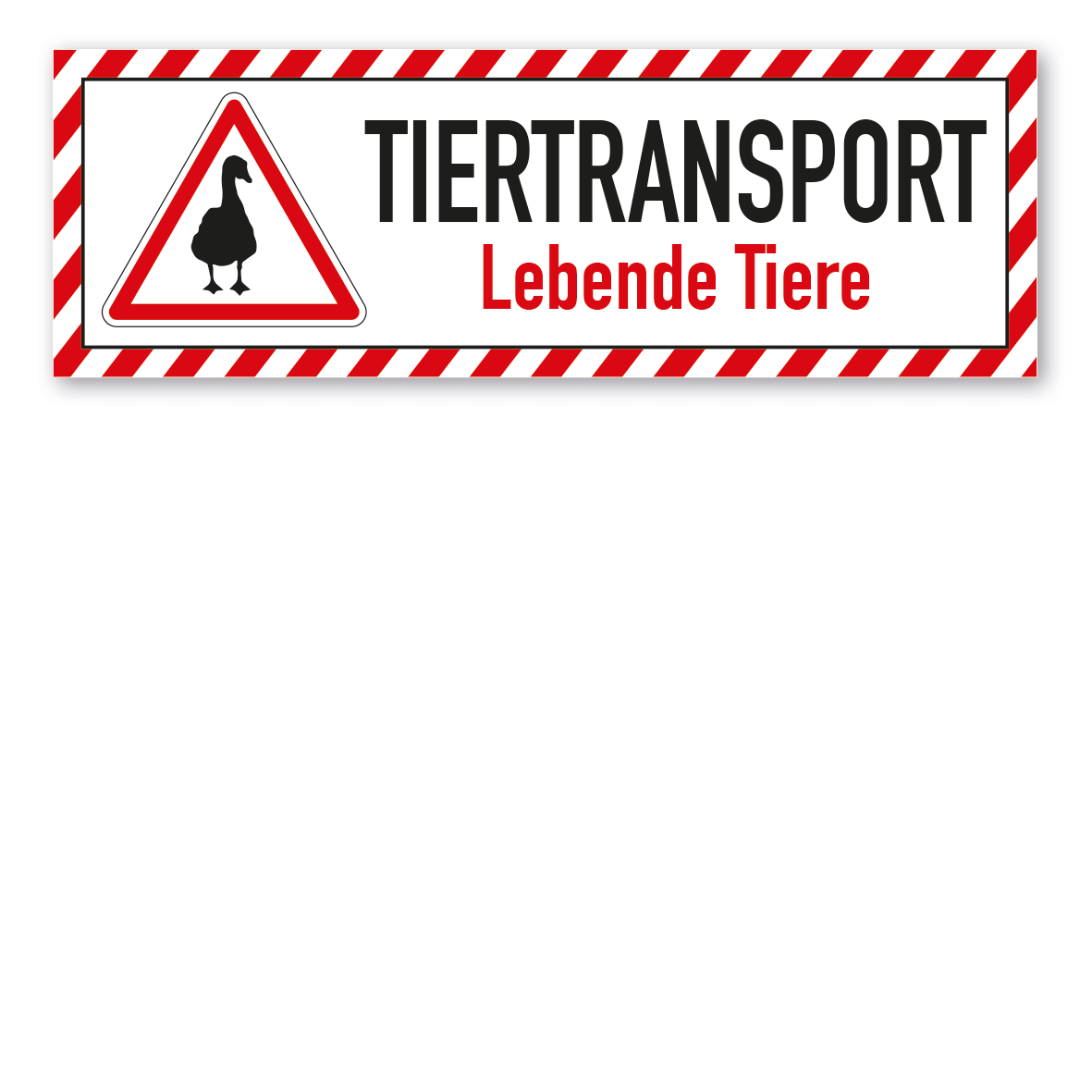Schild für Tiertransporte -  Tiertransport - Lebende Tiere - Gänse - mit roter Warnstreifenumrandung und Warnsymbol